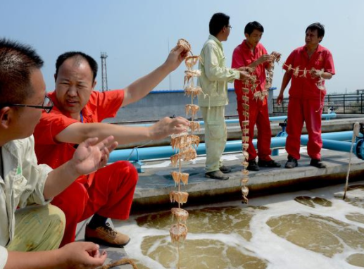 遇到生物水处理消泡剂后，生物水处理起泡不再是难题