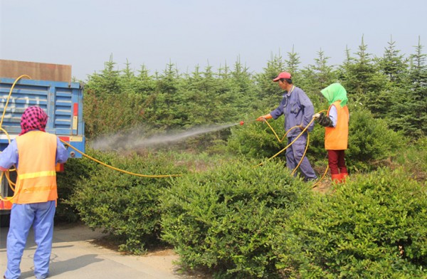 除草剂消泡剂在除草中应用
