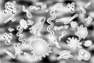 微生物用消泡剂.jpg